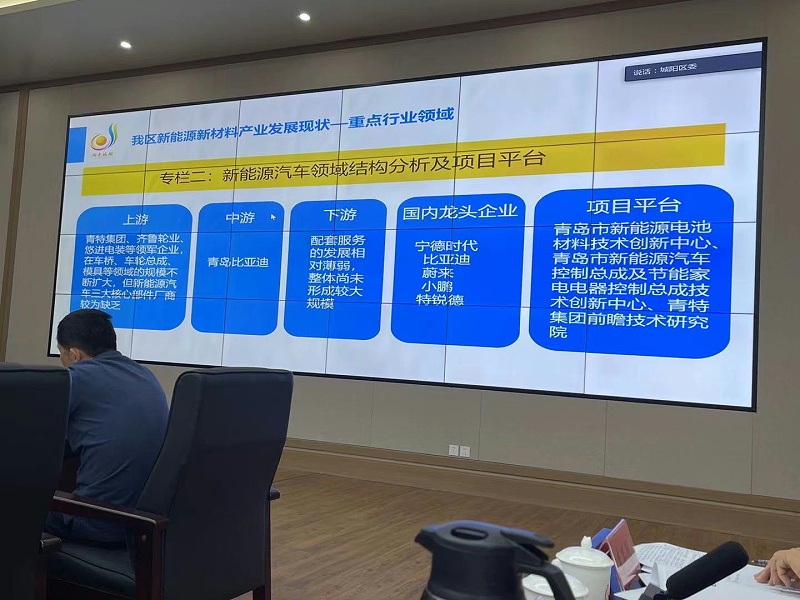 新能源汽車領(lǐng)域結(jié)構(gòu)分析及項(xiàng)目平臺